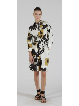 EKATERY PRINTED POPLIN KNEE - LENGTH DRESS - FEBE Clothing